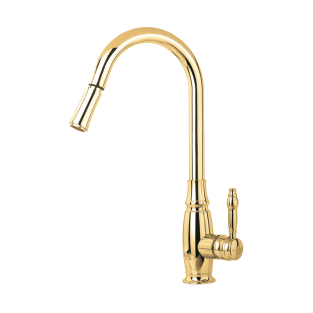 شاوری الوند طلایی