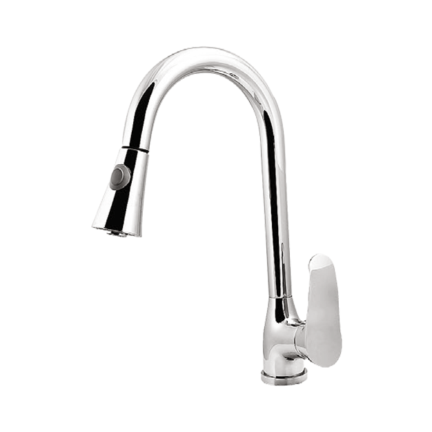 شاوری عصایی